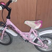 bicicletta per l'equilibrio 