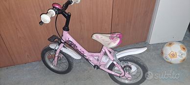 bicicletta per l'equilibrio 