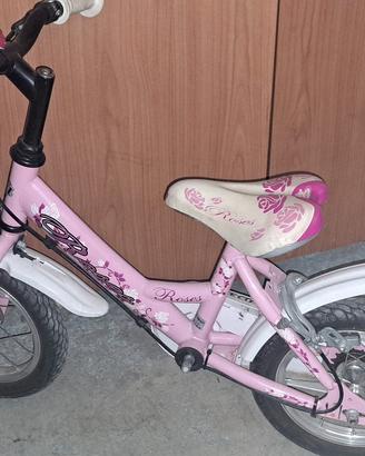 bicicletta per l'equilibrio 