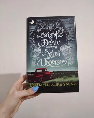 Aristotle e Dante scoprono i segreti dell'universo