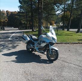 Guzzi norge