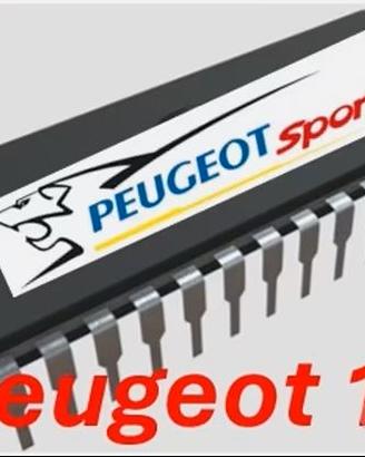 Chip Eprom PEUGEOT 106 Rallye 1.3 1.6 8v Xsi 1.4