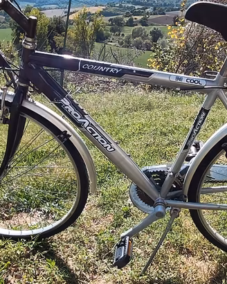 Mtb da uomo