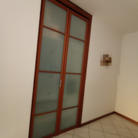 Porta per cabina armadio in vetro non trasparente