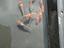 Immagine 3
