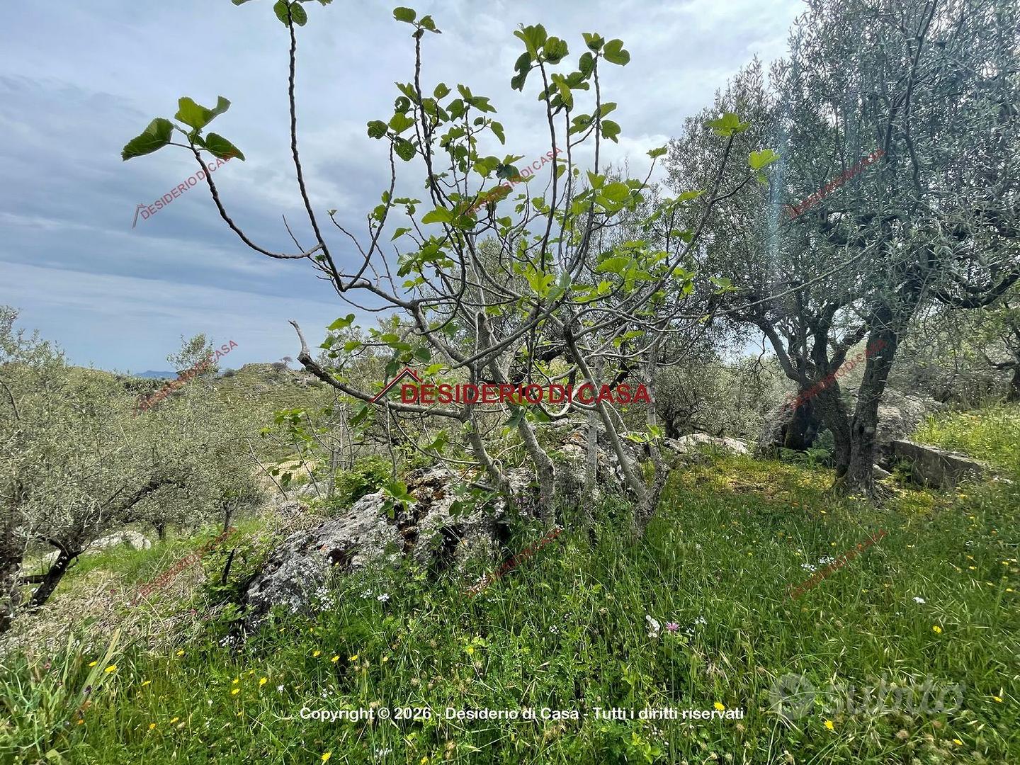 Terreno, Monreale. - Vista 4