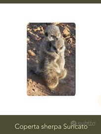 Coperta suricato