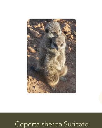 Coperta suricato