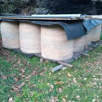 Rotoballe fieno 2025