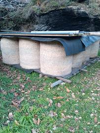 Rotoballe fieno 2025