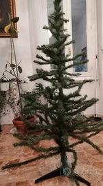 albero di natale