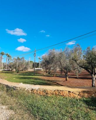 Terreno agricolo di 10822m2 edificabile e fraz