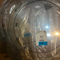 pelle cassa o timpano 18" remo pinstripe