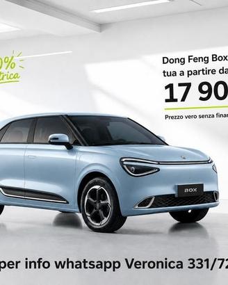 Dongfeng Box Dong Feng Style 100 % elettrica
