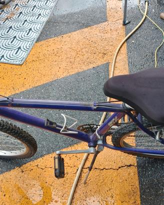 bicicletta 
