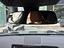 Immagine 22