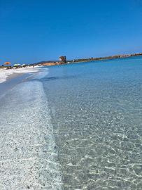 Casa sul mare- stintino -sardegna