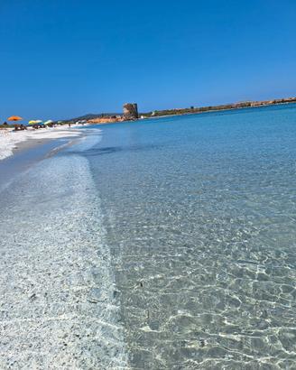 Casa sul mare- stintino -sardegna