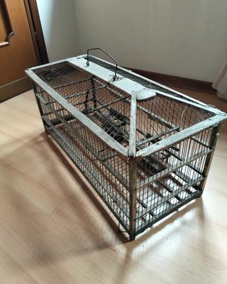 gabbia per uccelli vintage