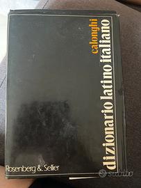 Dizionario