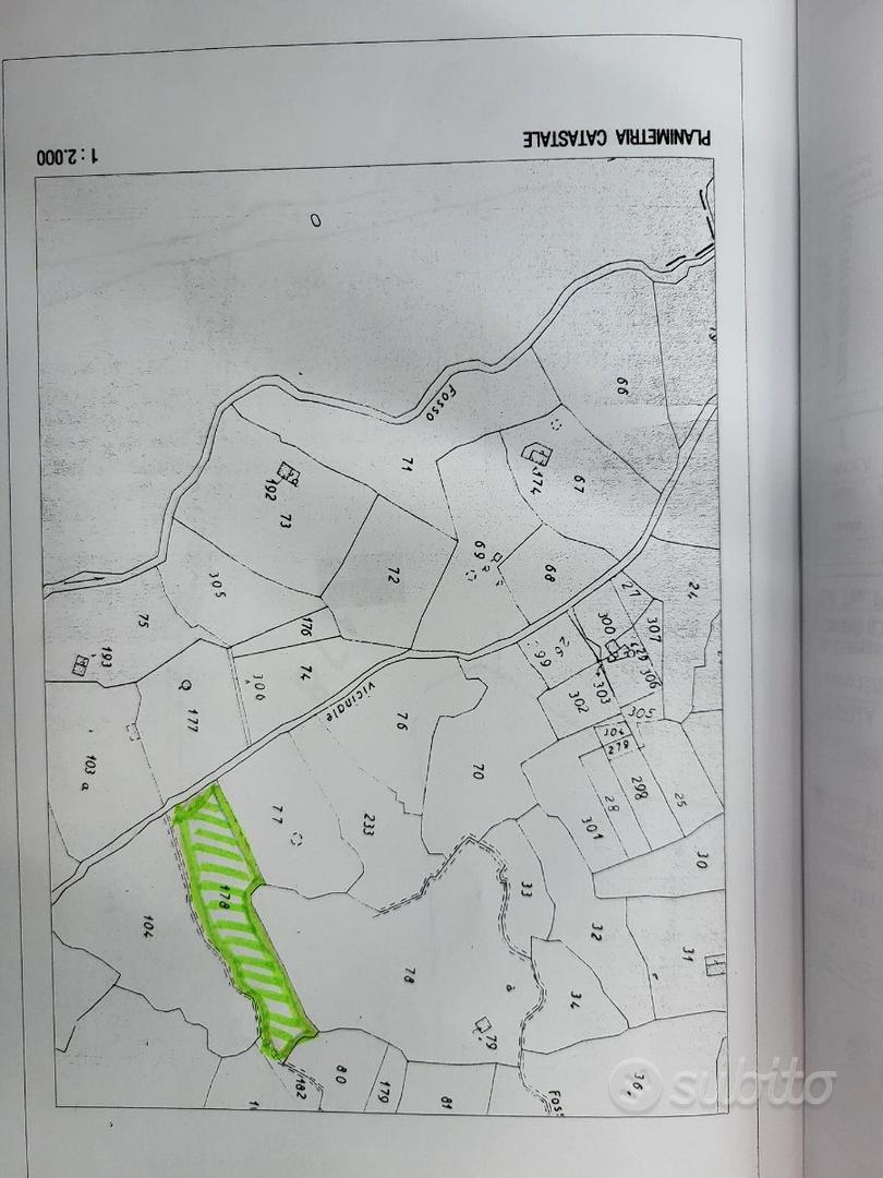 Terreno di 3300 mq con uliveto secolare - Sonnino - Altro