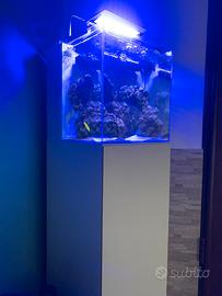 Acquario marino completo 60L