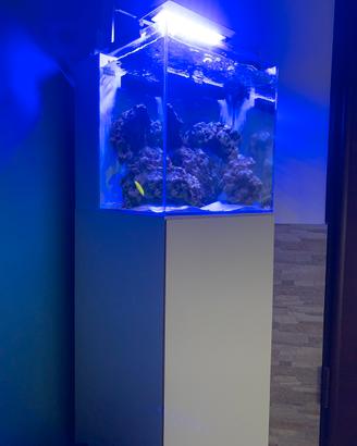 Acquario marino completo 60L