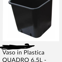 Vaso quadrato 6,5 lt 6pezzi