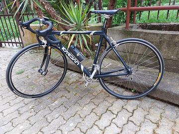Bici da corsa alluminio Mercury Kardan/Campagnolo