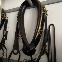 Antico set bardatura cavalli da carro funebre