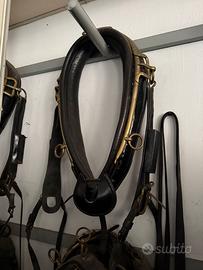 Antico set bardatura cavalli da carro funebre