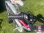 Immagine 2
