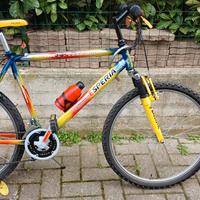 mountain bike  da uomo 