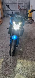 fz1 n