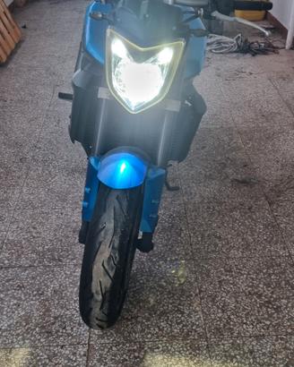 fz1 n
