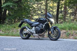 HONDA HORNET 600