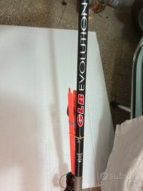 Canna Bolognese Veret GLB 7m