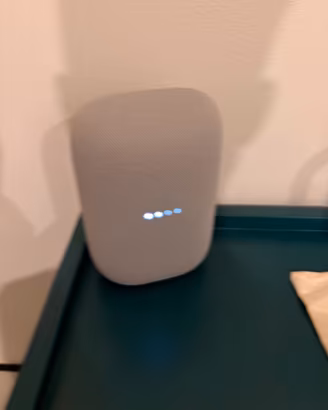 Google nest audio