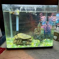 Acquario Laguna 18 litri- accessori e riscaldatore