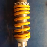 Sospensione posteriore Ducati Monster 695