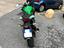 Immagine 2