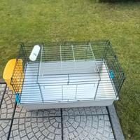 gabbia per porcellino d'india