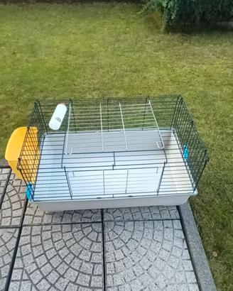 gabbia per porcellino d'india