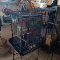 gabbie per uccelli varie dimensioni