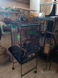 gabbie per uccelli varie dimensioni