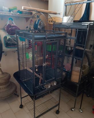 gabbie per uccelli varie dimensioni