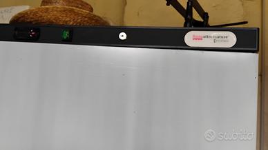 congelatore verticale