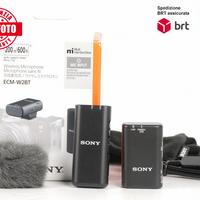 SONY ECM-W2BT