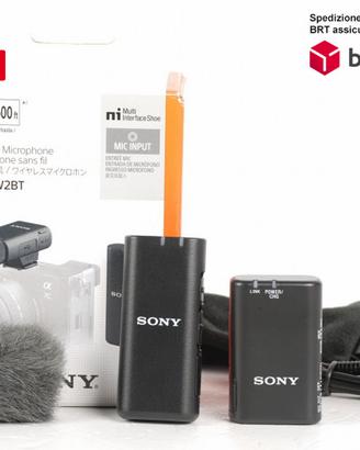 SONY ECM-W2BT