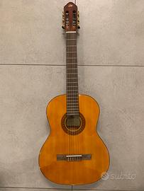 Chitarra acustica